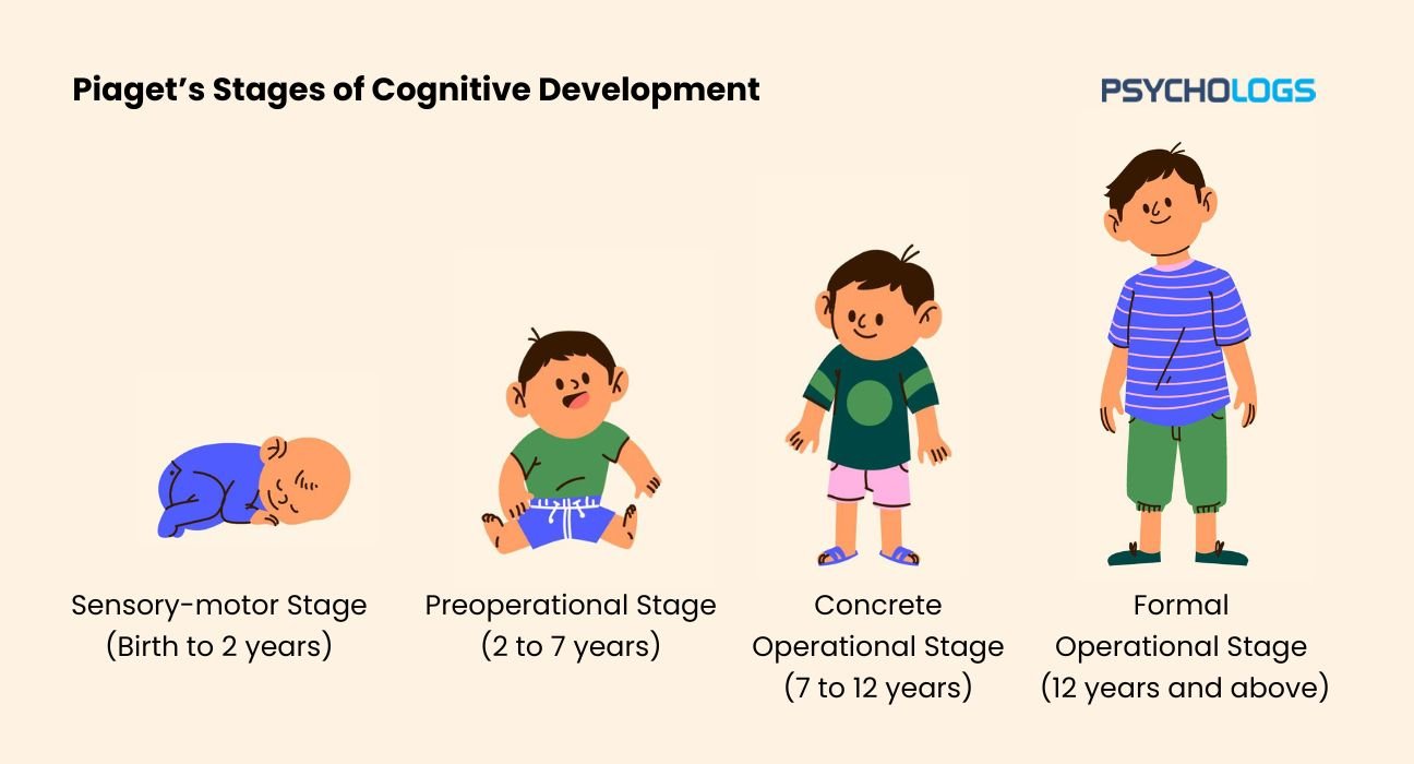 Cognitive Development Theory Piaget Psychology for everyone