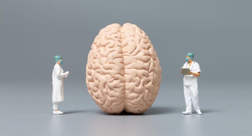 Schemata Example The Role of Schema in Cognitive Development and Its Impact on ...