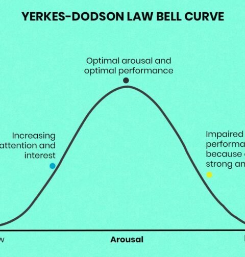 yerkes-dodson-law
