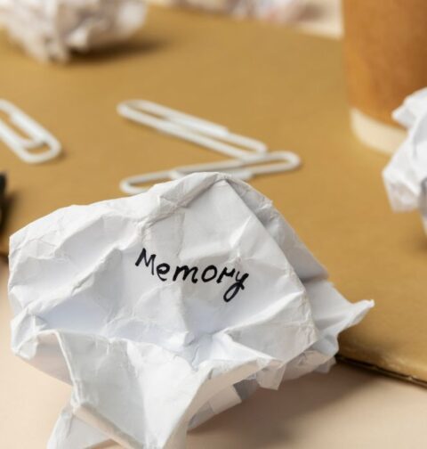 key-differences-between-working-memory-and-short-term-memory