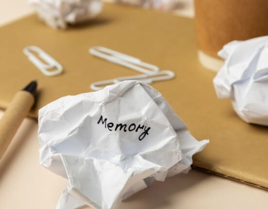 key-differences-between-working-memory-and-short-term-memory
