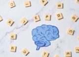 Understanding Semantic Memory