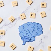 Understanding Semantic Memory