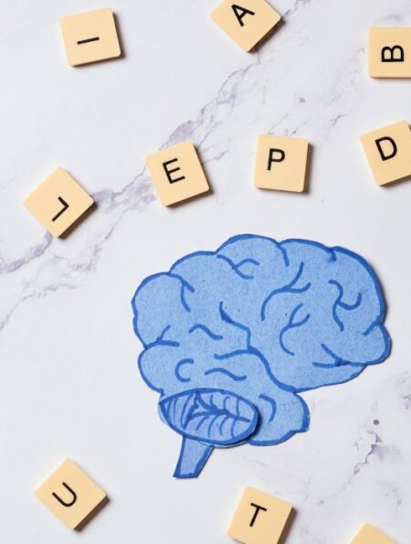 Understanding Semantic Memory