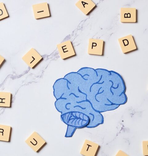 Understanding Semantic Memory