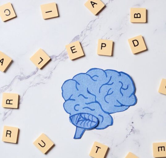 Understanding Semantic Memory