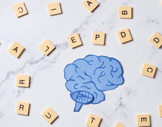Understanding Semantic Memory