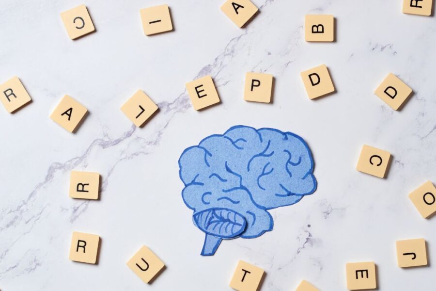 Understanding Semantic Memory