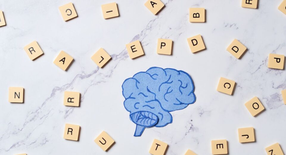 Understanding Semantic Memory