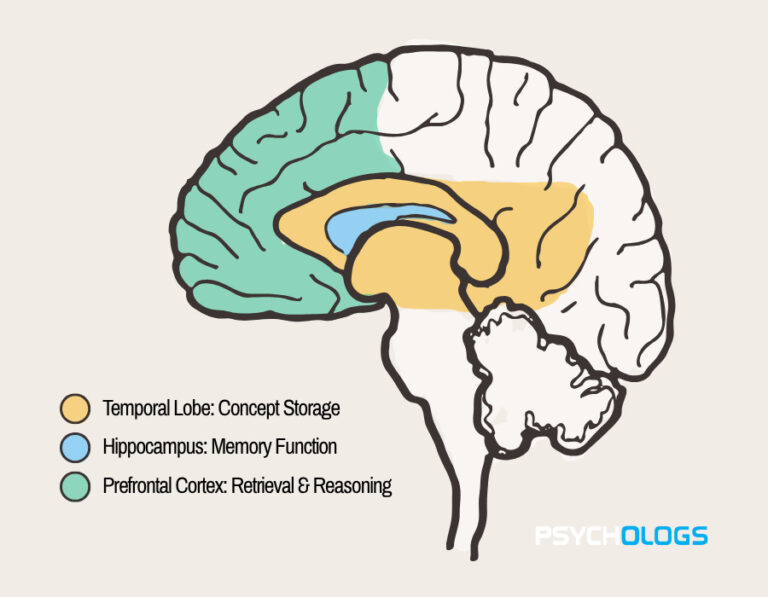 Understanding Semantic Memory