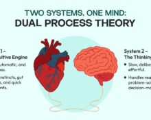 Two Systems, One Mind Understanding Human Cognition Through Dual Process Theory