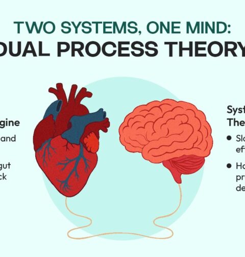 Two Systems, One Mind Understanding Human Cognition Through Dual Process Theory