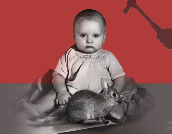 the-science-and-ethics-of-the-little-albert-experiment