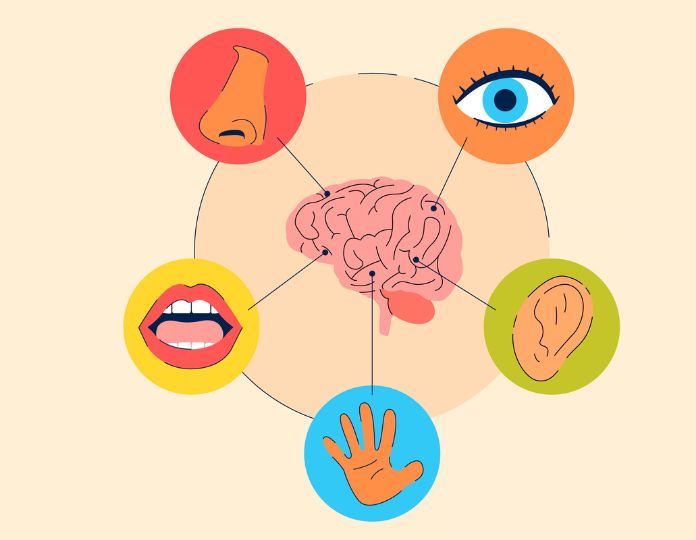 Sensory Memory