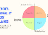 eysencks-personality-theory-explained-the-biological-basis-of-human-behaviour