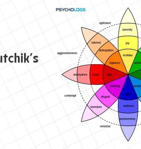 plutchiks-wheel-of-emotions-understanding-the-8-core-human-emotions