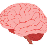 frontotemporal-dementia-ftd-causes-symptoms-diagnosis-and-treatment