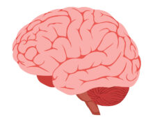 frontotemporal-dementia-ftd-causes-symptoms-diagnosis-and-treatment