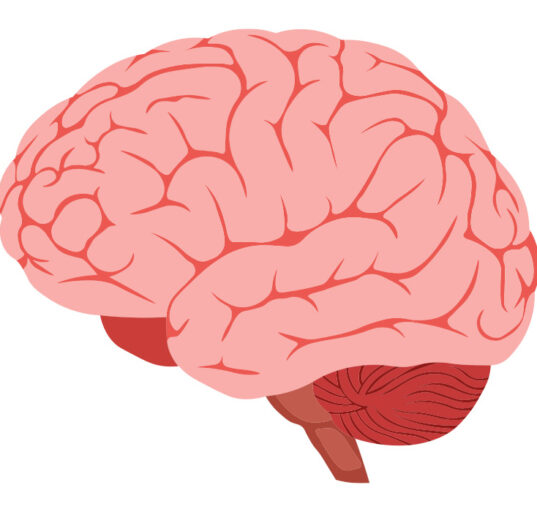 frontotemporal-dementia-ftd-causes-symptoms-diagnosis-and-treatment