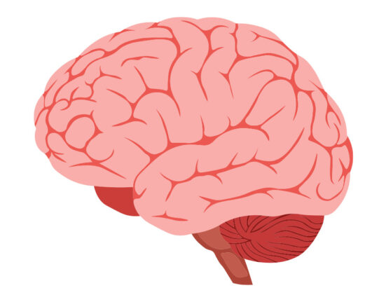 frontotemporal-dementia-ftd-causes-symptoms-diagnosis-and-treatment