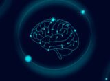 mechanical-forces-in-brain-development