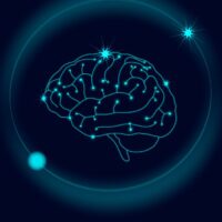 mechanical-forces-in-brain-development