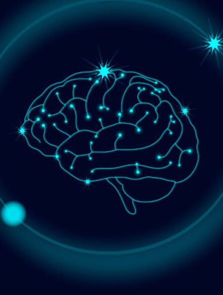 mechanical-forces-in-brain-development