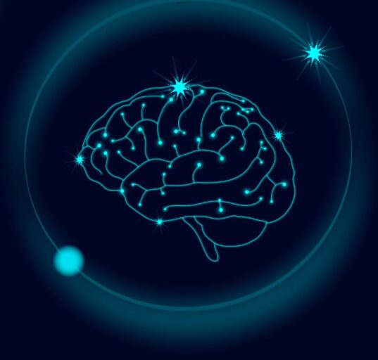mechanical-forces-in-brain-development