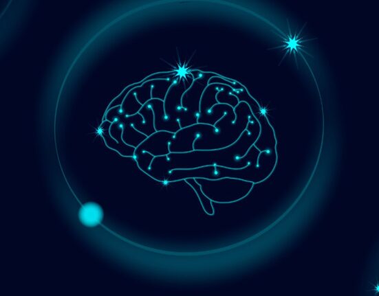 mechanical-forces-in-brain-development