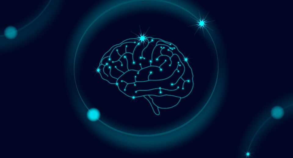 mechanical-forces-in-brain-development